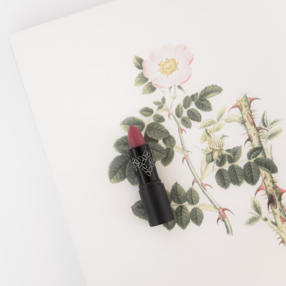 Le Bois de Rose Lipstick No11#ACKiss11Photo2FCAudreyBozzetto.jpg