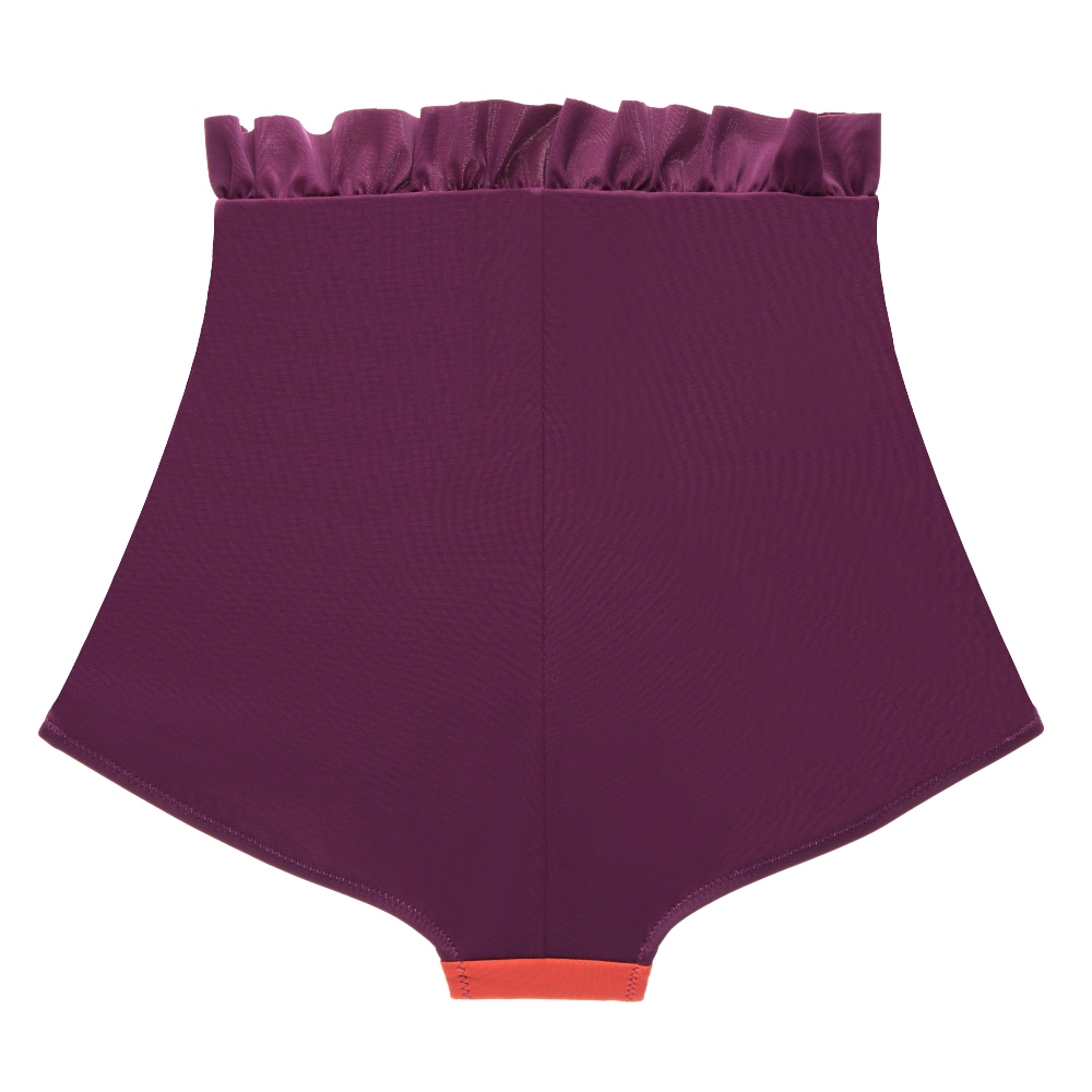 Diana High-waisted Swim Brief#4.jpg